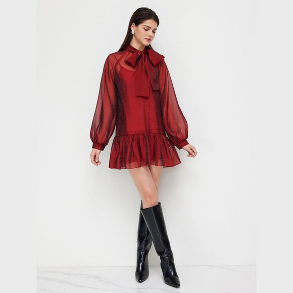 Red Bowknot Sheer Mini Dress with Cami Mini Dress - Picture 4 of 13